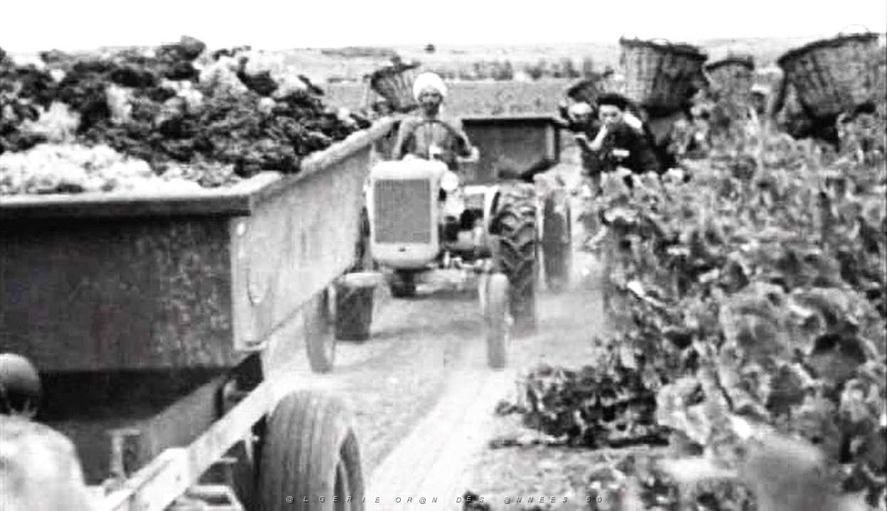 VALENCIENS EN ALGERIE 074.jpg